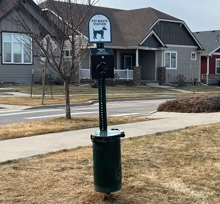 Yellow spots on lawn caused by dog urine